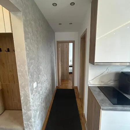 Lägenhet Barisic Zlatibor