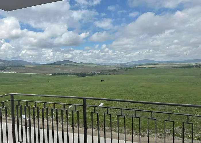 Barisic 兹拉蒂博尔