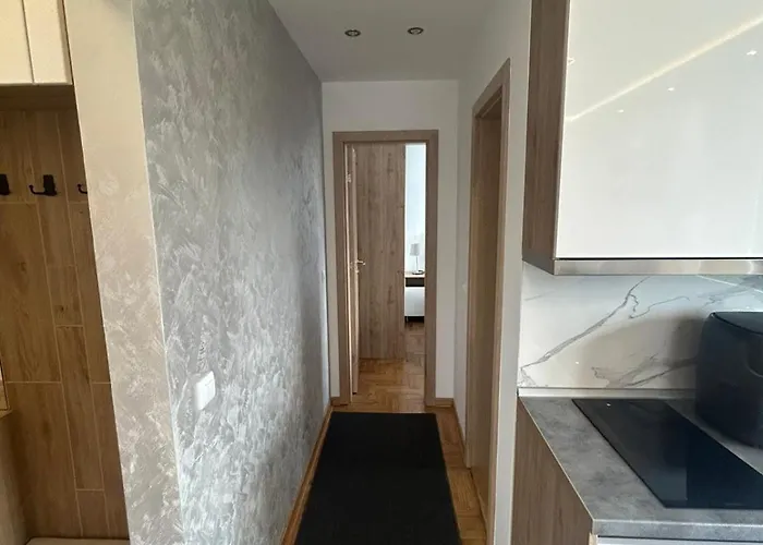 公寓 Barisic 兹拉蒂博尔